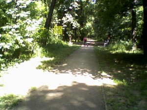 Banjička šuma - staza Banjička šuma - staza