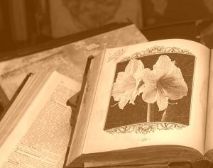 PhotoFunia-131d8f-sepia