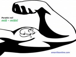 miš-mišić-poreklo srpske-reči