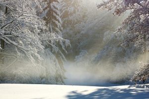 sneg značenje poreklo reči