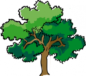 drvo značenje poreklo reči
