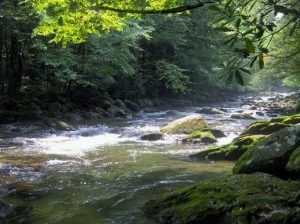 brod-značenje-poreklo-reči
