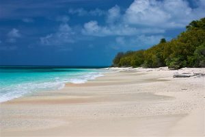 Bikini atol plaža