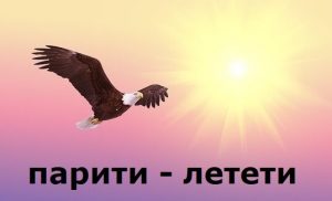 visokoparan – парити летети